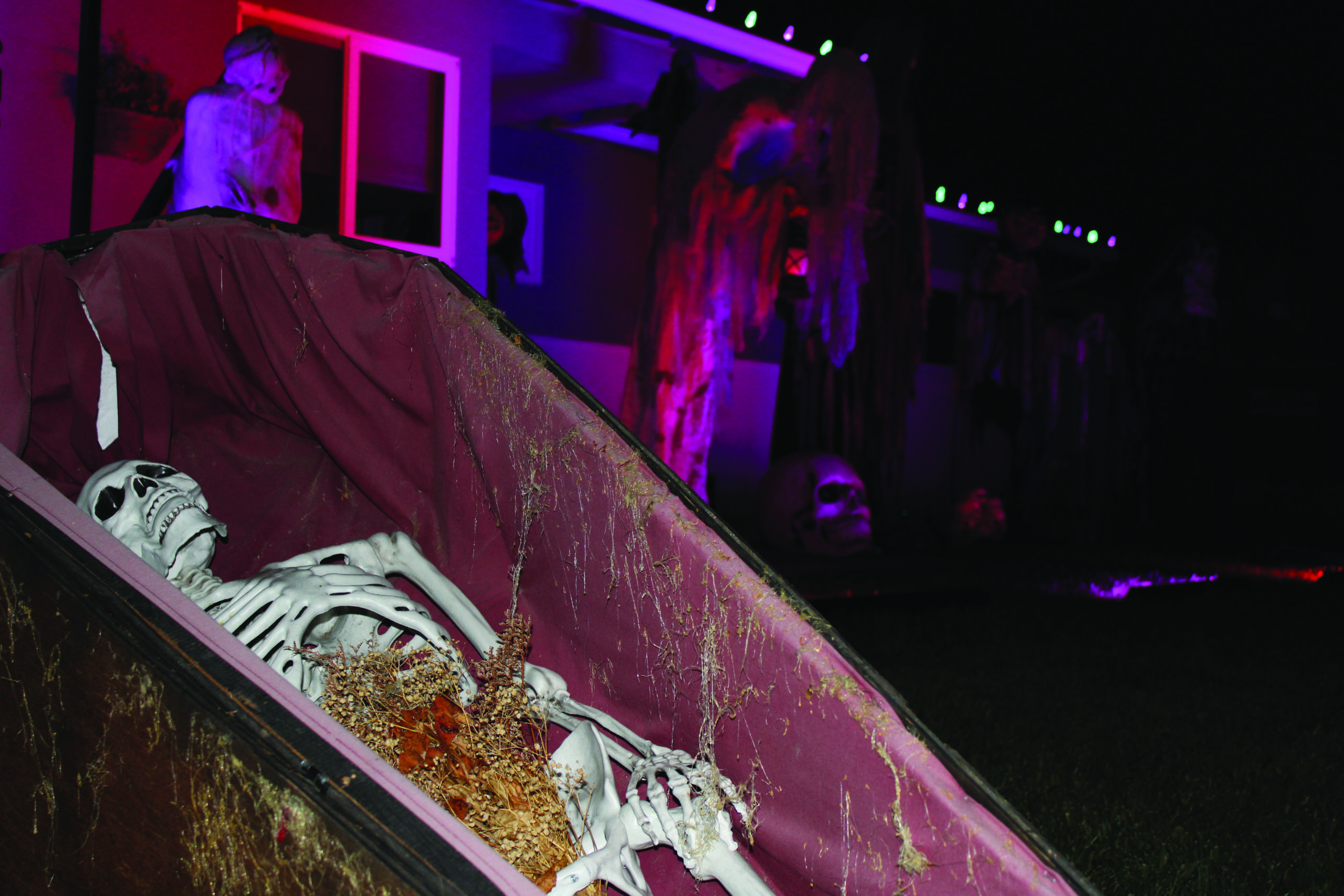 skeleton in coffin » Panther Prowler: the official newspaper of Newbury ...