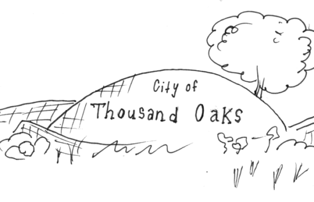 Youth involvement in activism empowers T.O.