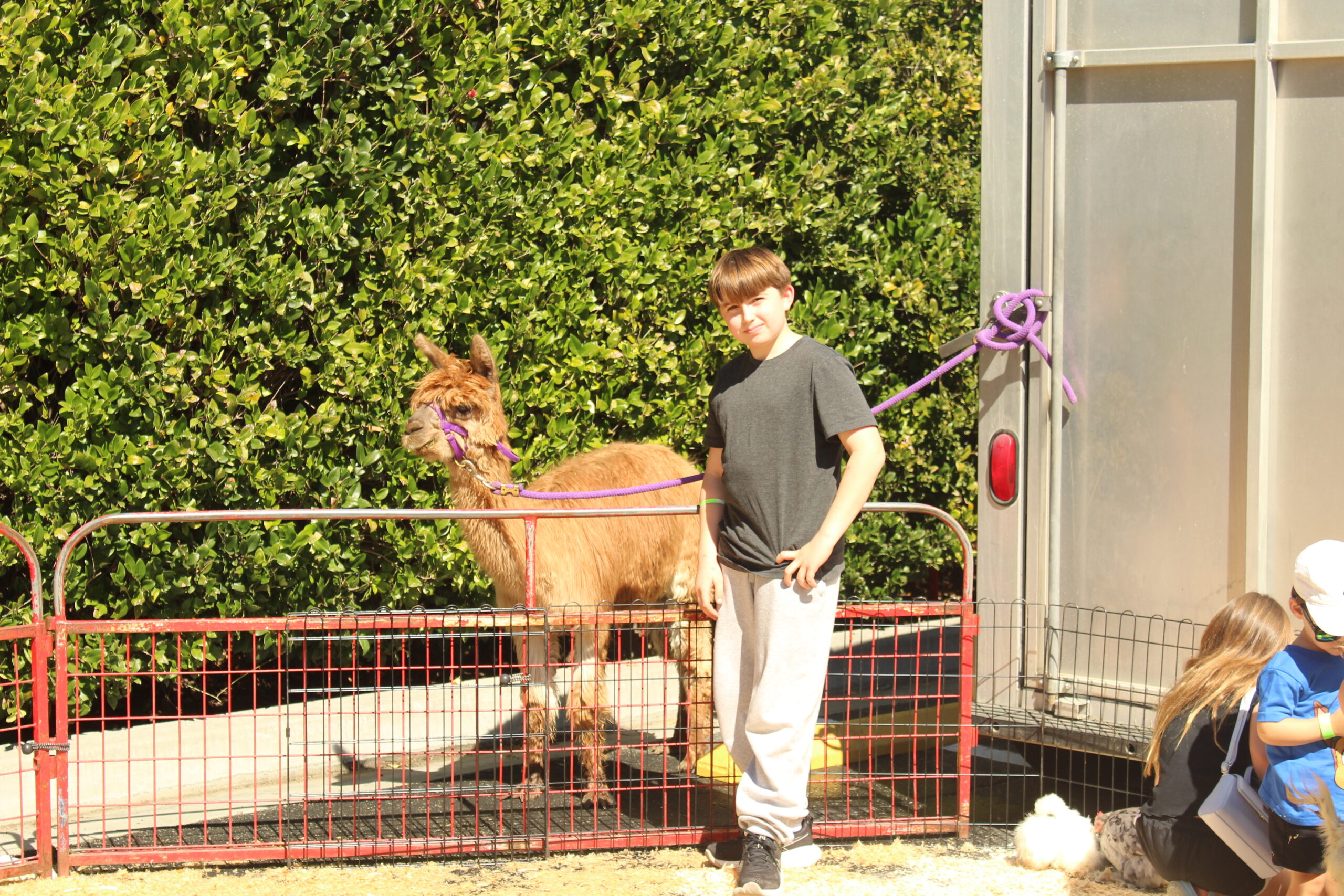 Thousand Oaks prays, plays and parades for Purim