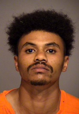 Newbury Park man pleads guilty to killing brother